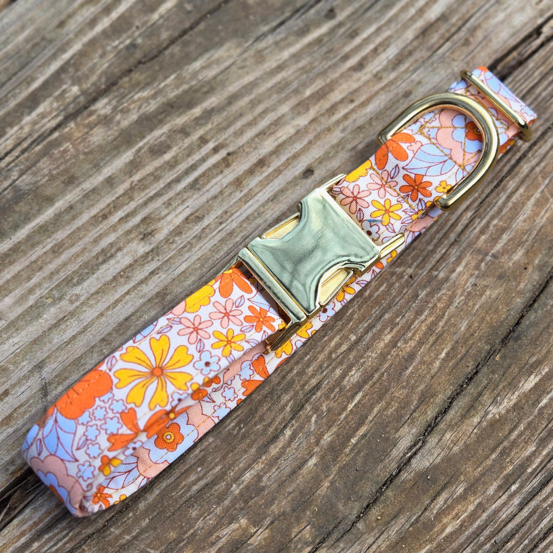 Orange Groovy Dog Collar