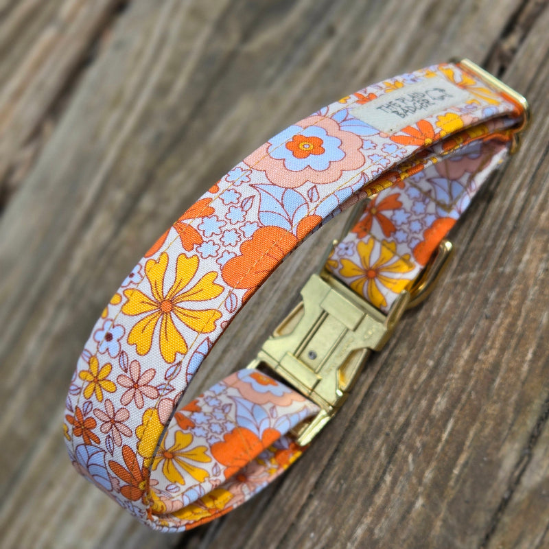 Orange Groovy Dog Collar
