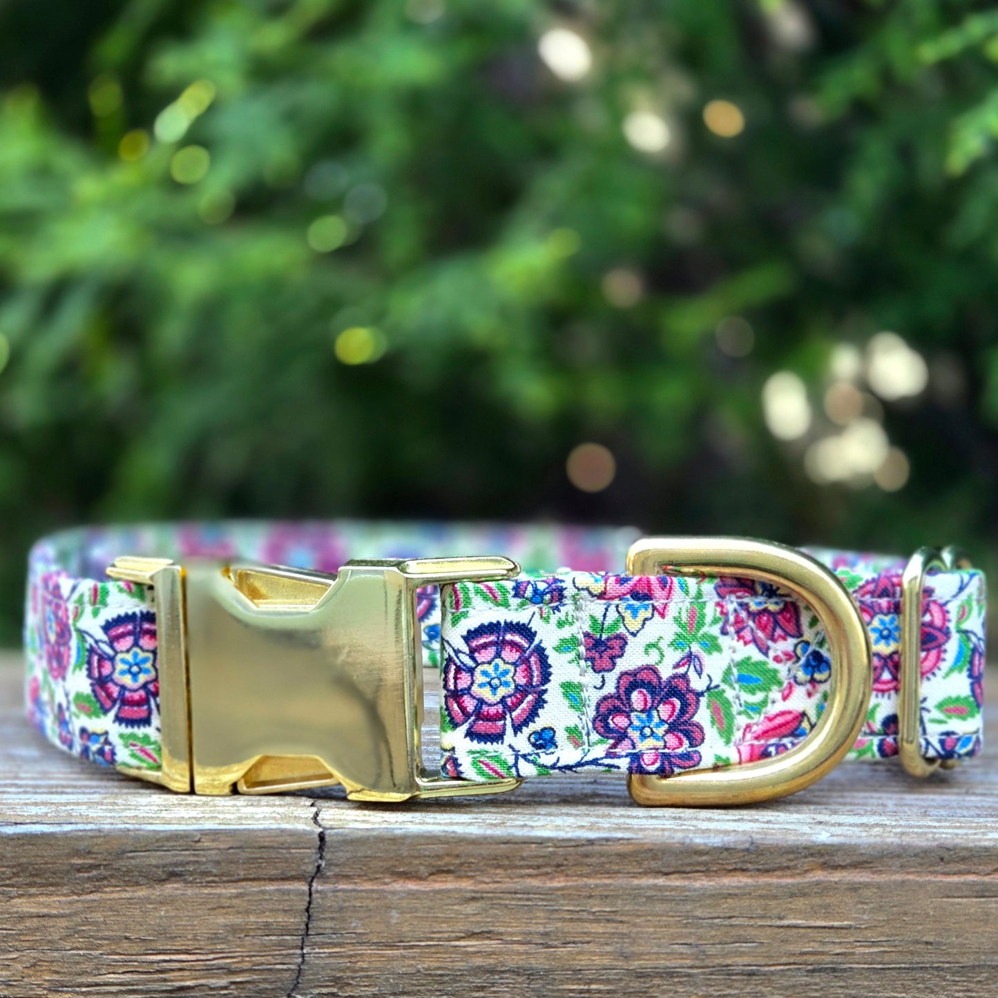 Multicolor Dianthus Dog Collar