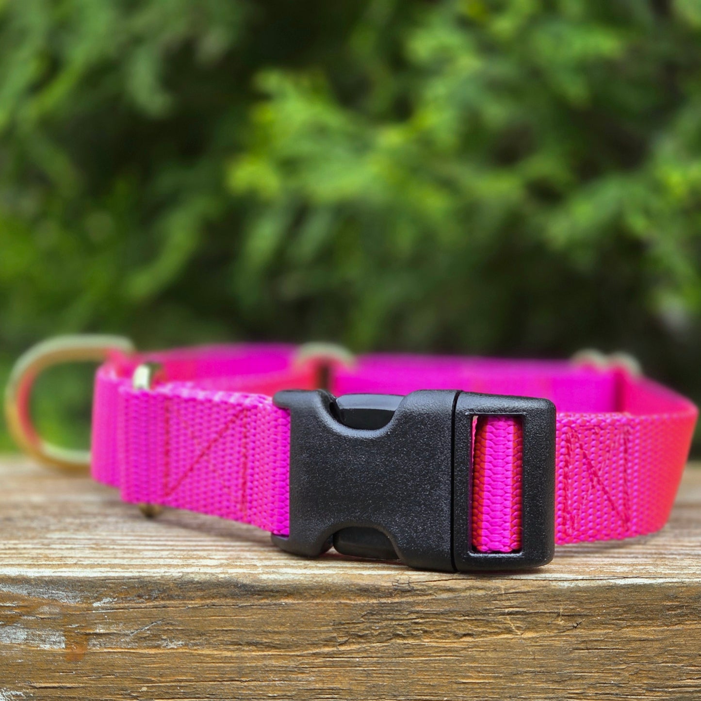 Nylon Martingale Collar - Multiple Colors