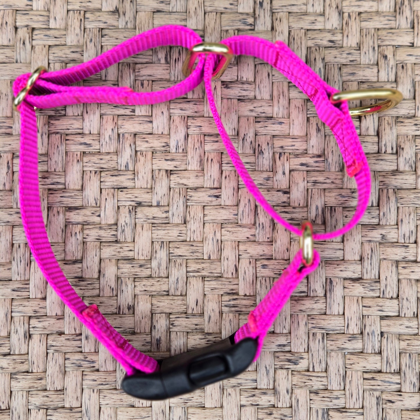 Nylon Martingale Collar - Multiple Colors