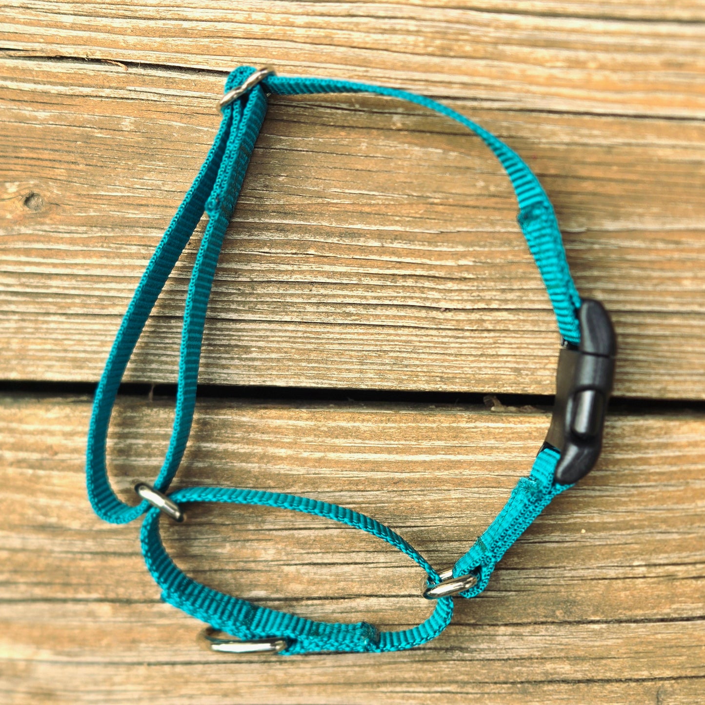 Nylon Martingale Collar - Multiple Colors
