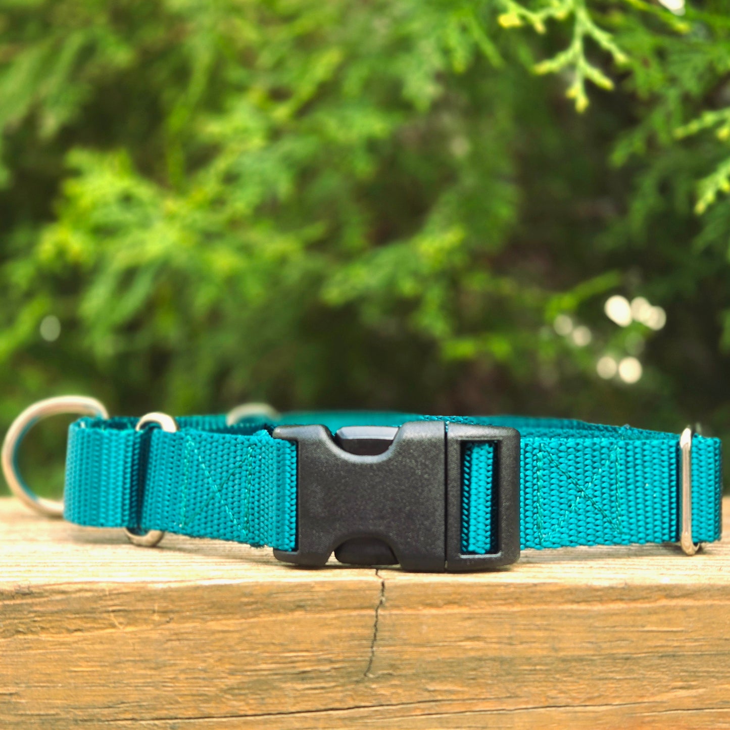Nylon Martingale Collar - Multiple Colors