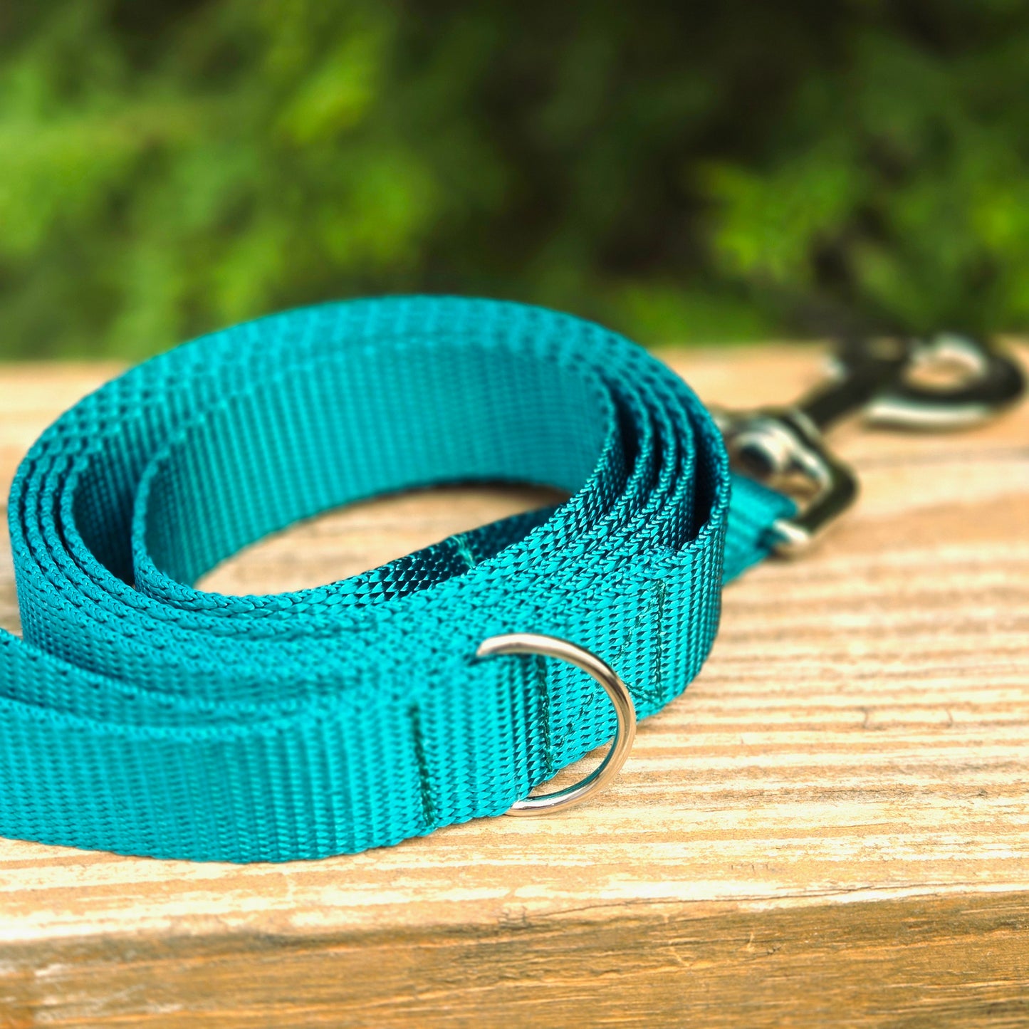 Nylon Leash - Multiple Colors