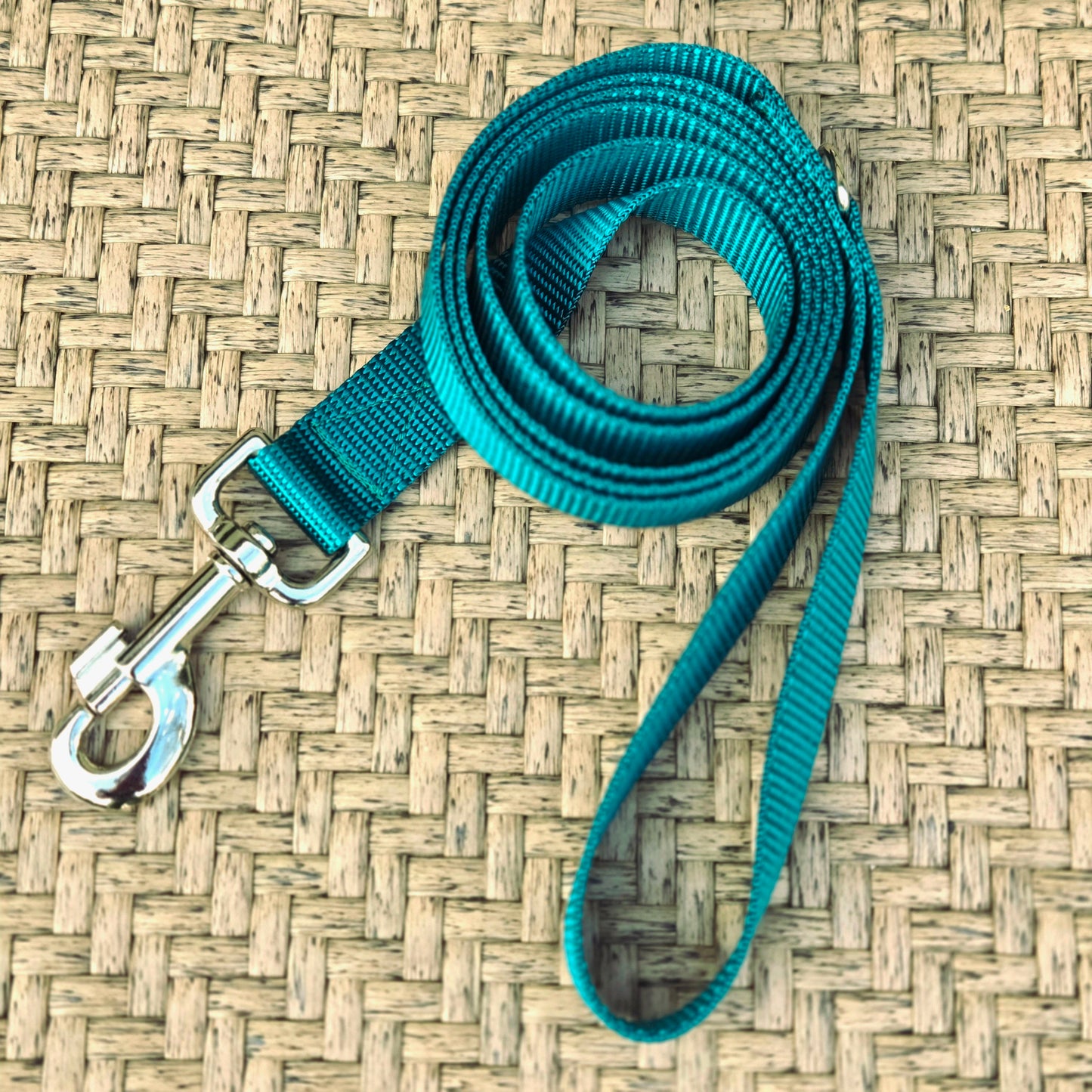Nylon Leash - Multiple Colors