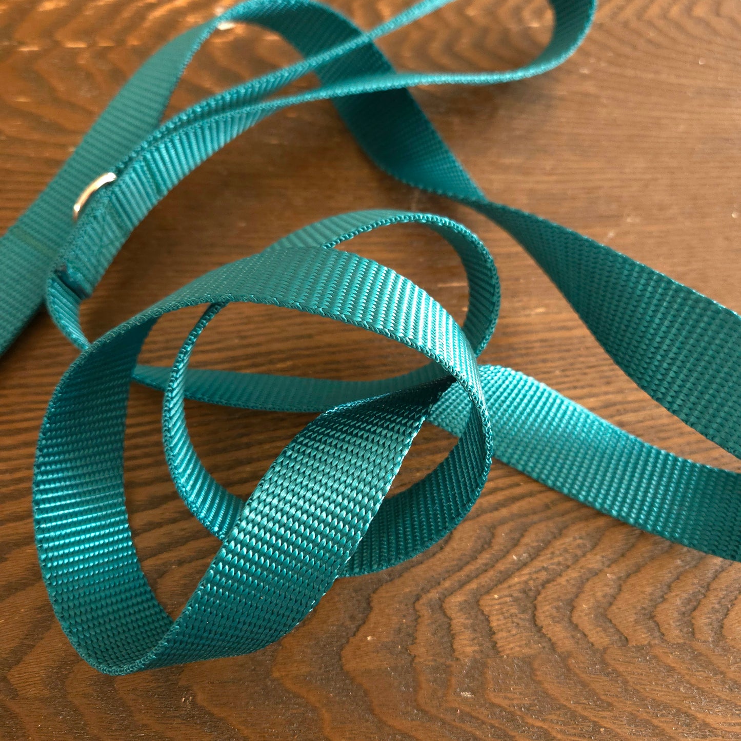 Nylon Leash - Multiple Colors