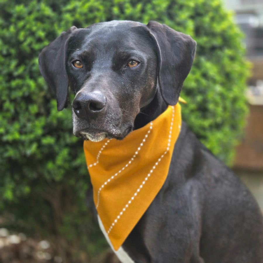 Mustard Woven Dog Bandana