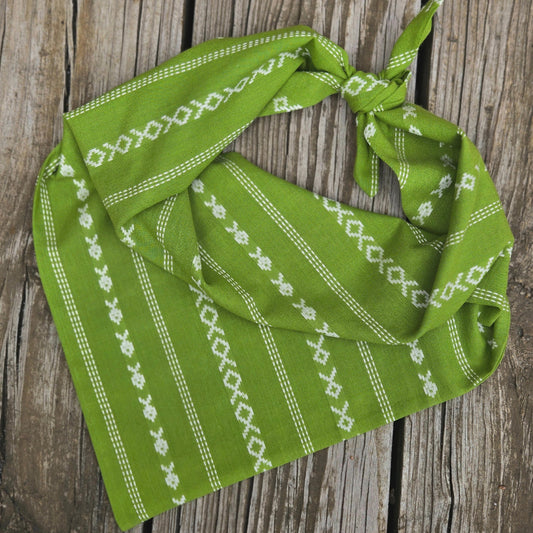 Green Apple Woven Dog Bandana