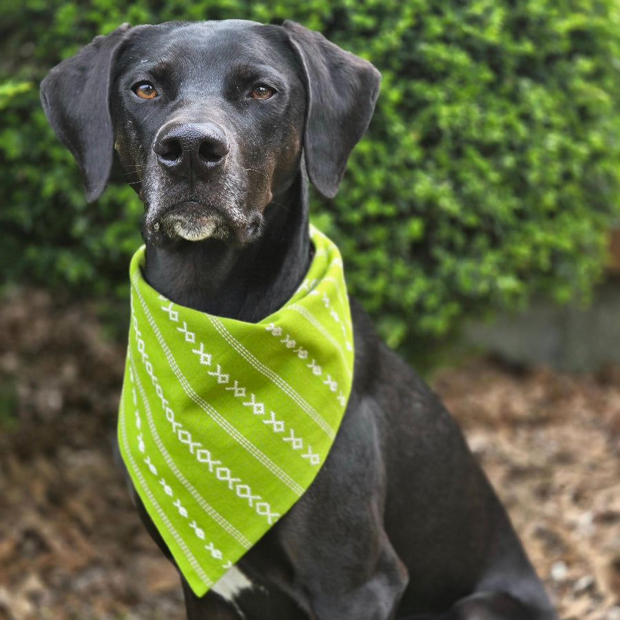 Green Apple Woven Dog Bandana