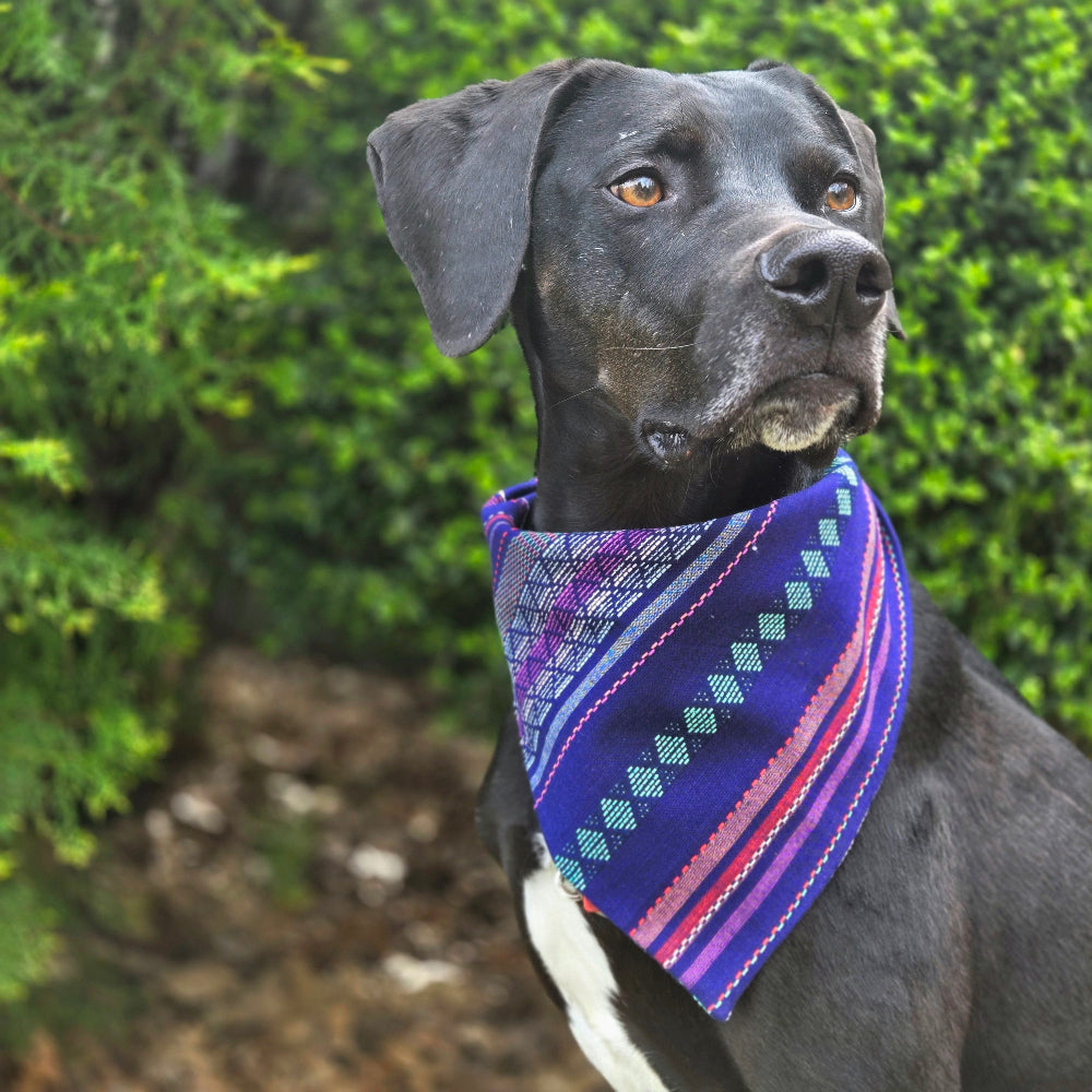 Purple Woven Dog Bandana