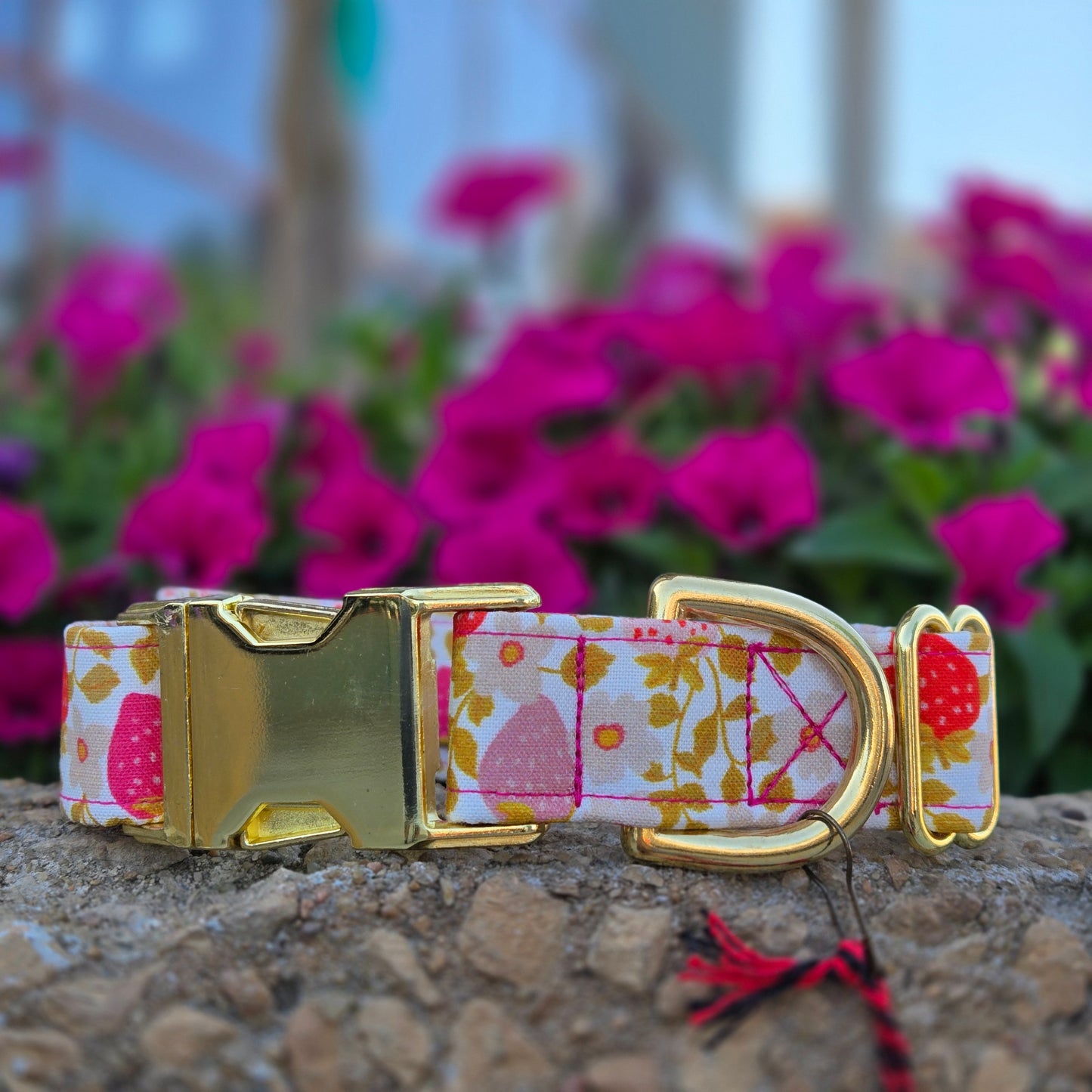 Strawberry Dog Collar