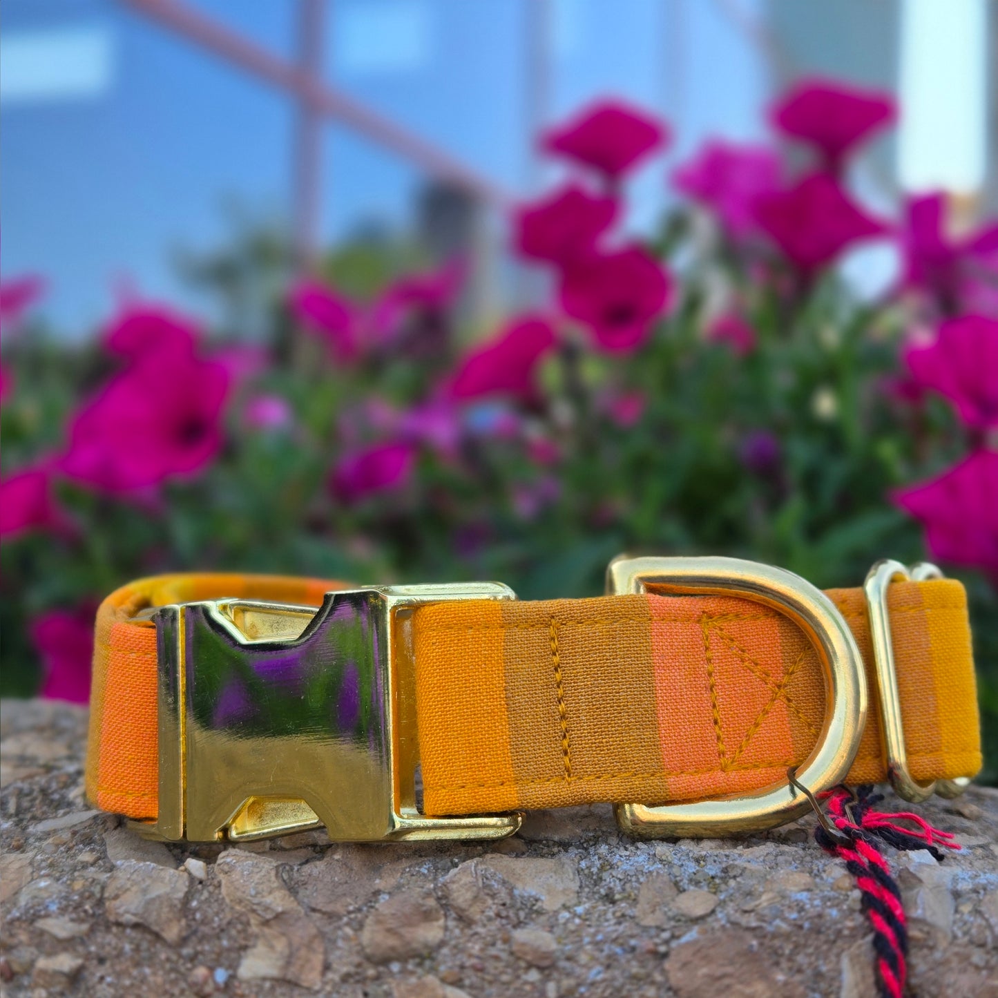 Golden Hour Dog Collar