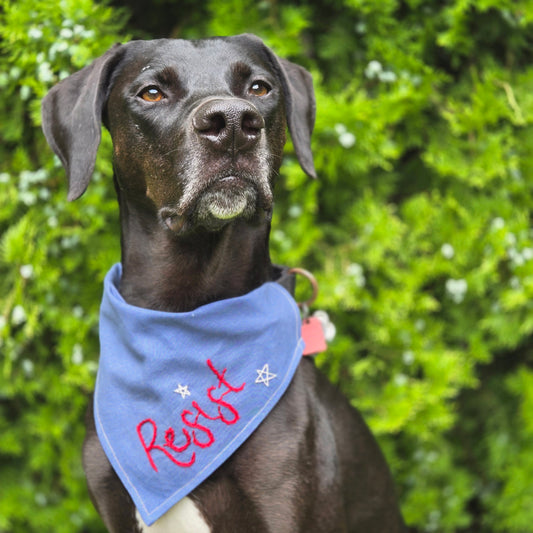 Resist Dog Bandana- Summer Edition