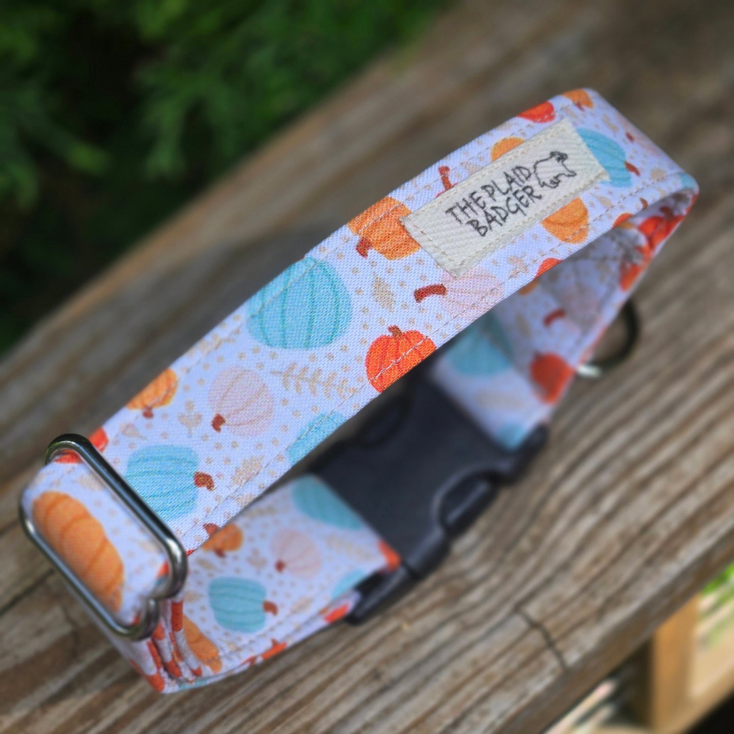 Colorful Pumpkins Dog Collar