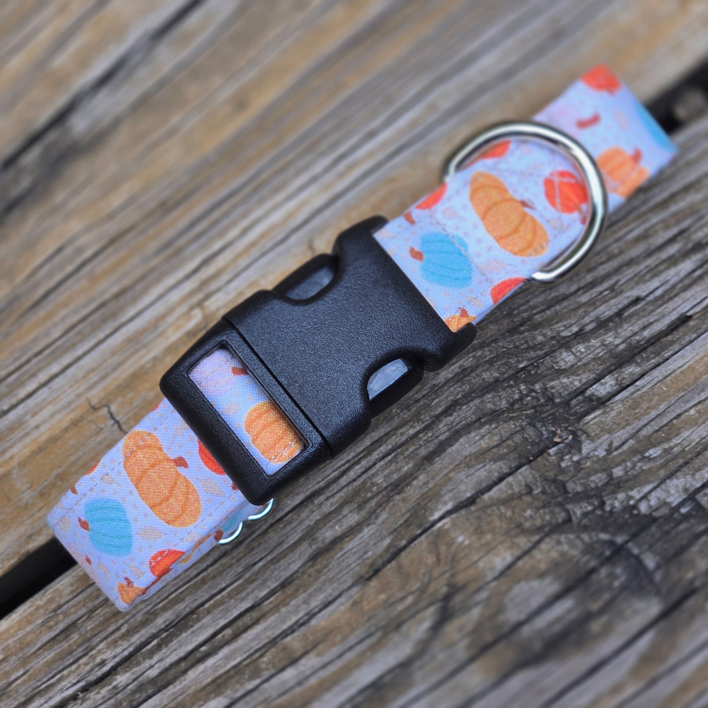 Colorful Pumpkins Dog Collar