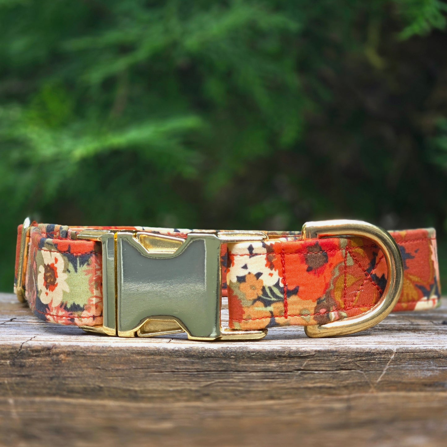 Fall Blooms Dog Collar
