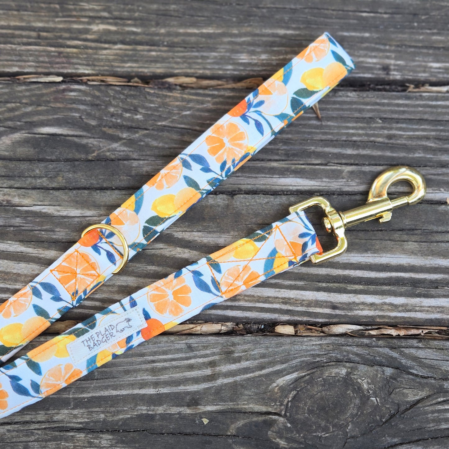 Citrus Dog Leash