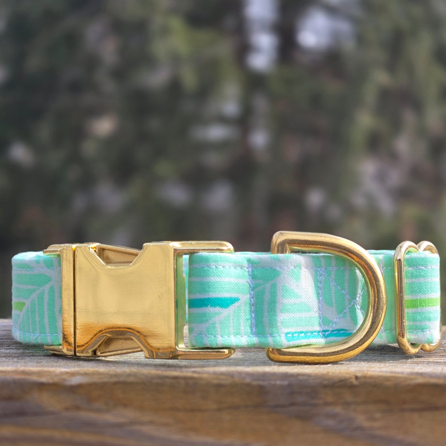 Sea Glass Dog Collar