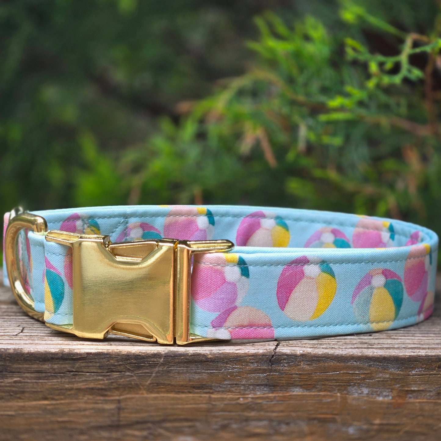 Life's a Beach Ball Dog Collar