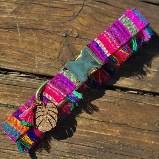 Ensenada Fringe Dog Collar