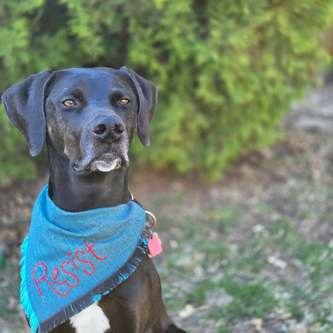 Resist Dog Bandana