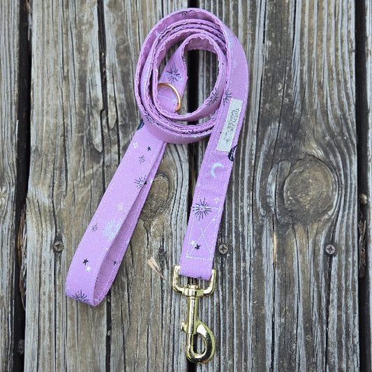 Aura Dog Leash