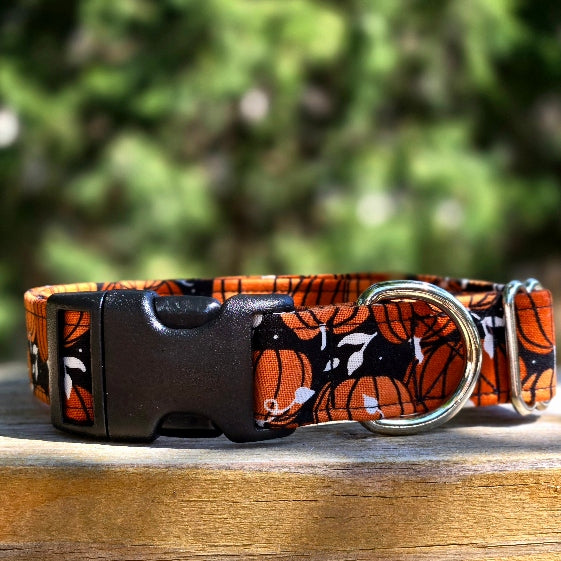 Bold Pumpkins Dog Collar