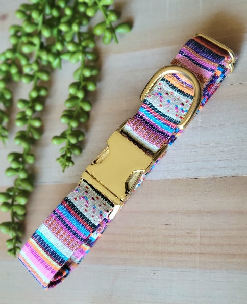 boho dog collar in bright multicolor stripes, woven. shades of pink, purple, blue, orange, white, yellow, and red. shown with gold hardware.
