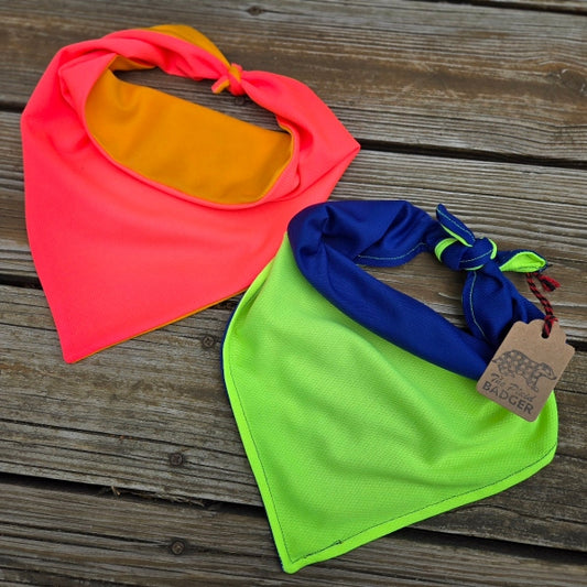 Cooling Dog Bandana (Reversible)