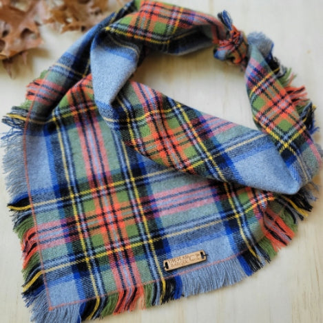 Cozy Campground Dog Bandana