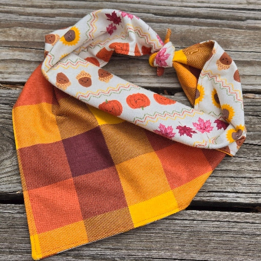 Fall Friends Reversible Dog Bandana