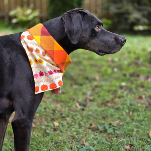 Fall Friends Reversible Dog Bandana