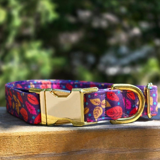Falling Leaves Dog Collar