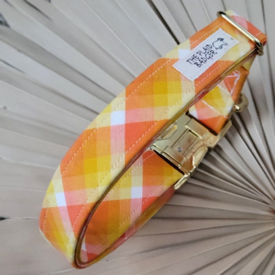 Seconds Sale - Key West Plaid Collar