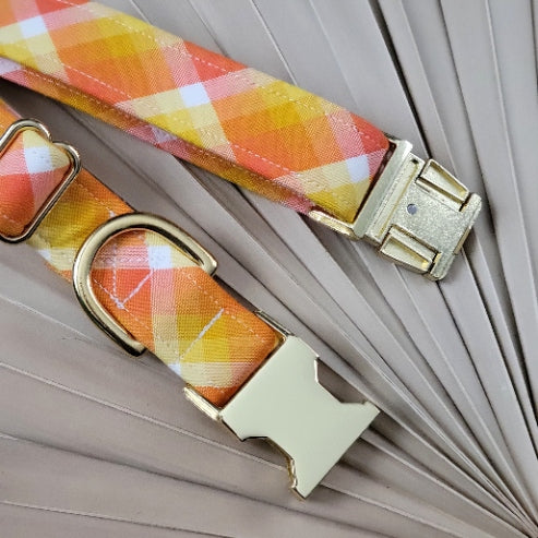 Seconds Sale - Key West Plaid Collar
