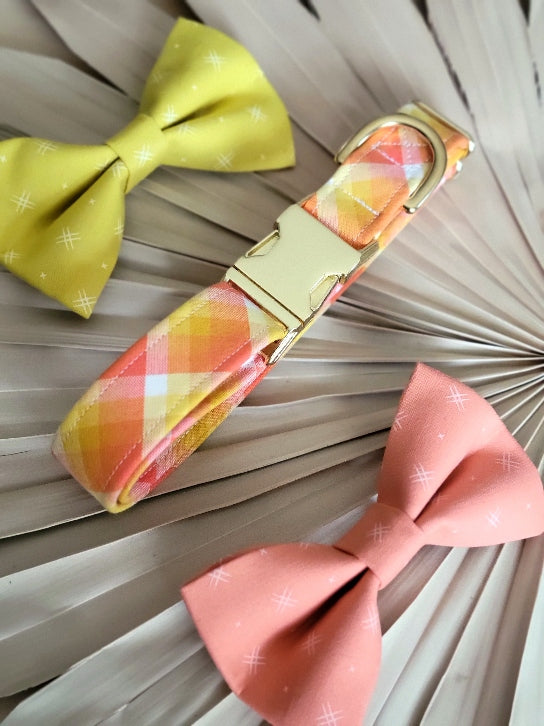 Seconds Sale - Key West Plaid Collar