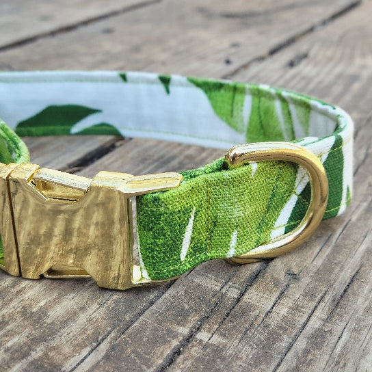 Monstera Canvas Dog Collar