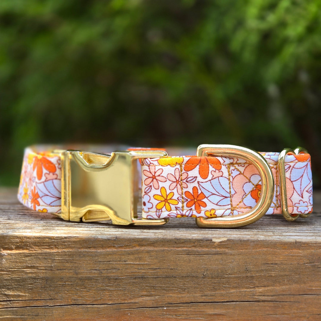 Orange Groovy Dog Collar