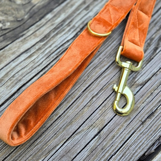 Velvet Dog Leash - Pumpkin
