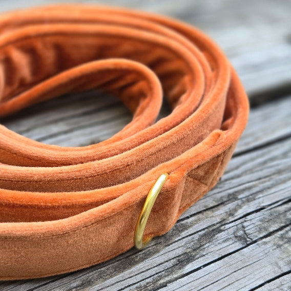Velvet Dog Leash - Pumpkin