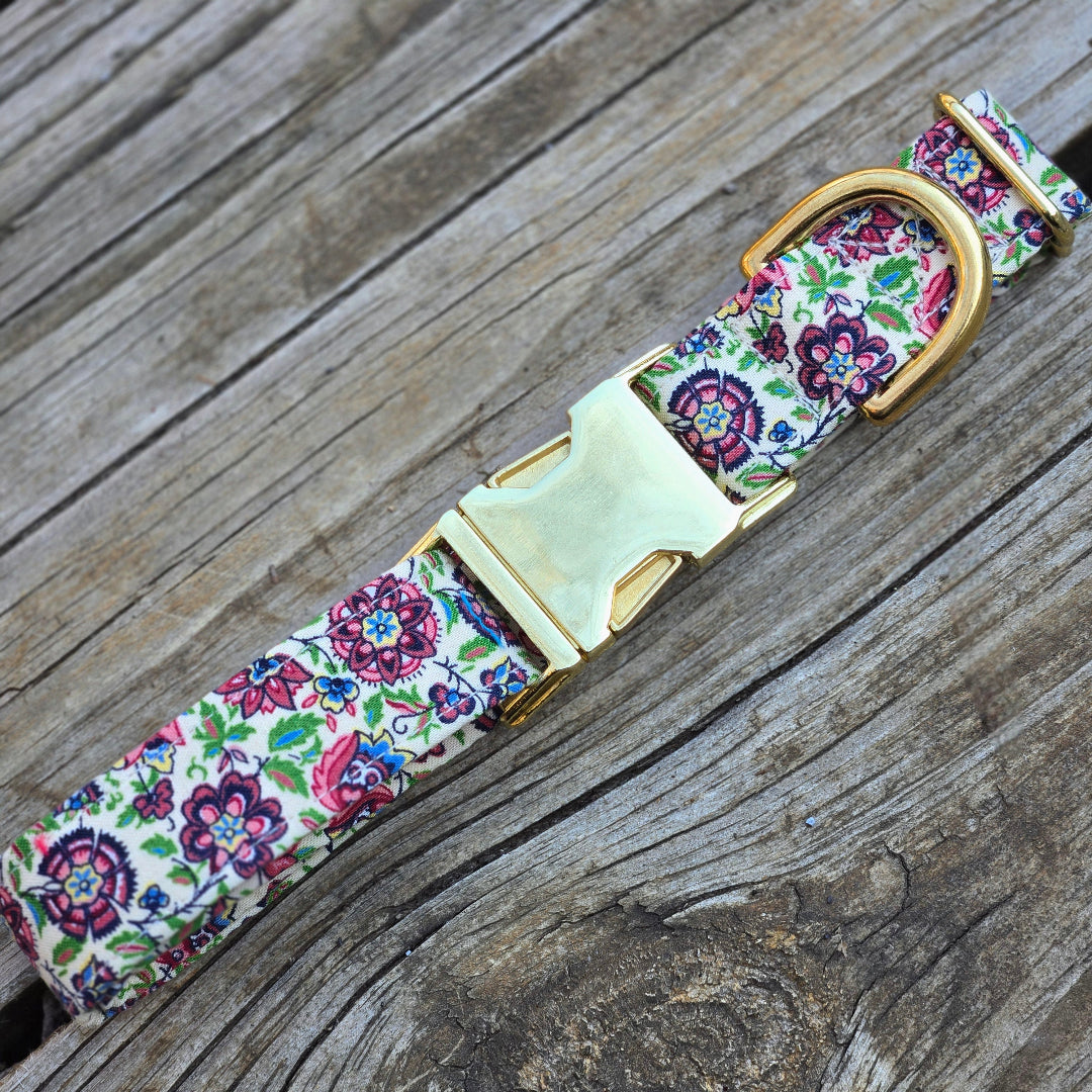Multicolor Dianthus Dog Collar
