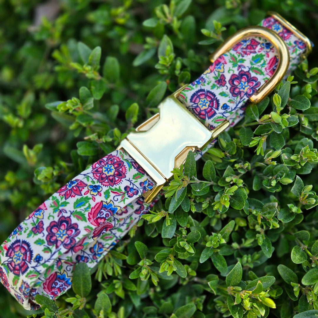 Multicolor Dianthus Dog Collar