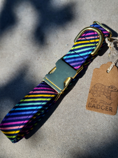 Retro Neon Rainbow Dog Collar