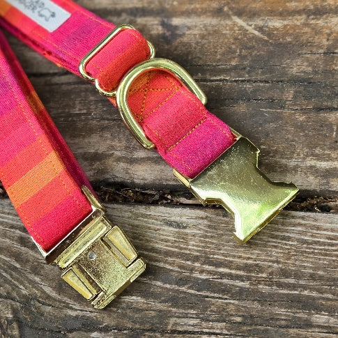 Solstice Dog Collar