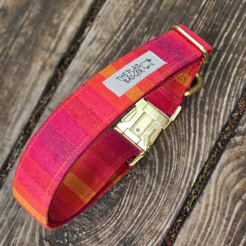 Solstice Dog Collar