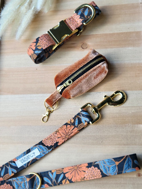 Sunrise Blooms Dog Collar