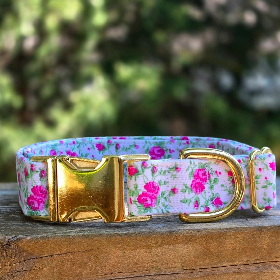 Wild Rose Dog Collar