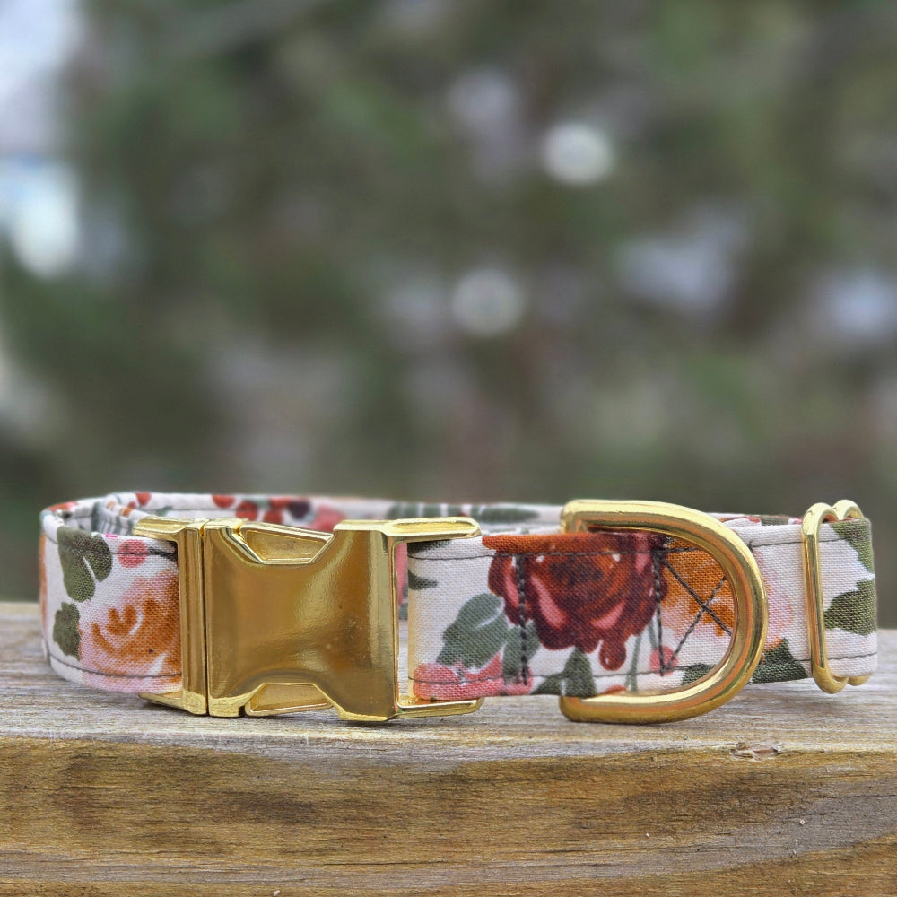 Winter Roses Dog Collar