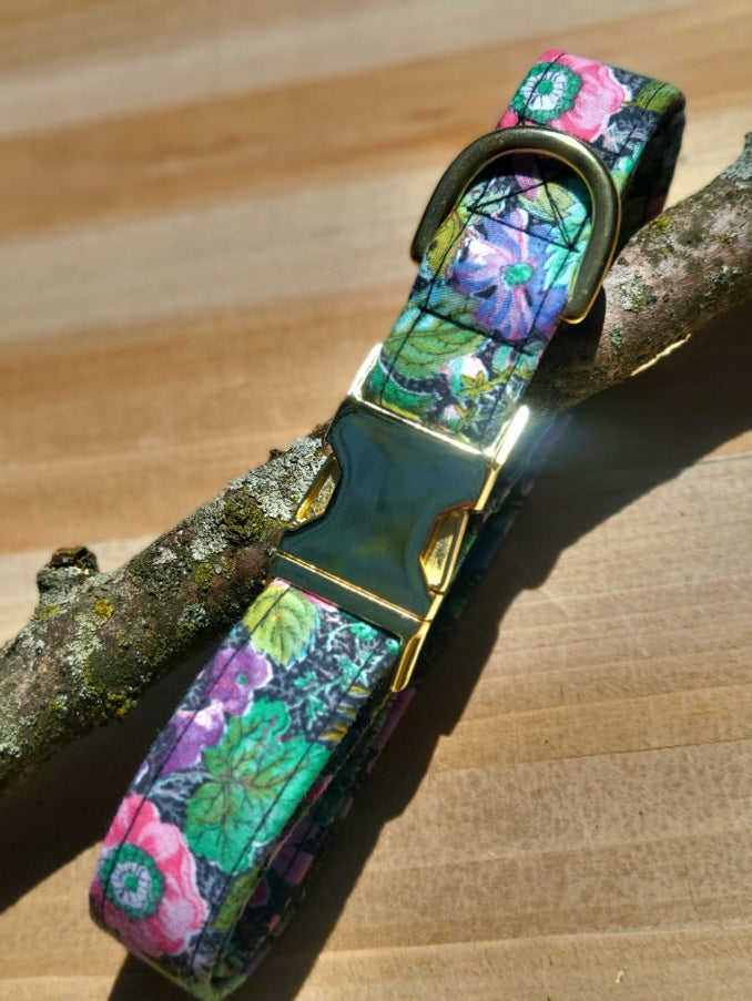 vintage floral dog collar with black background show with gold buckle in natural sunlight