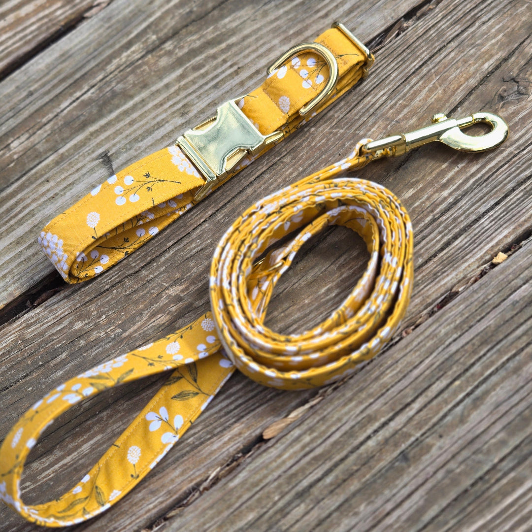 dog collar, leash and waste bag set
